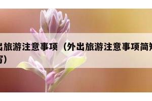外出旅游注意事项（外出旅游注意事项简短怎么写）