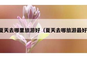 夏天去哪里旅游好（夏天去哪旅游最好）