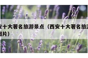西安十大著名旅游景点（西安十大著名旅游景点图片）