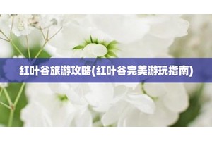 红叶谷旅游攻略(红叶谷完美游玩指南)