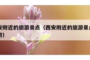 西安附近的旅游景点（西安附近的旅游景点一日游）