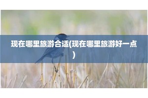 现在哪里旅游合适(现在哪里旅游好一点)