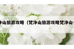 梵净山旅游攻略（梵净山旅游攻略梵净山一日游）