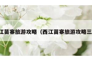 西江苗寨旅游攻略（西江苗寨旅游攻略三天）