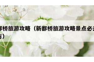 新都桥旅游攻略（新都桥旅游攻略景点必去的地方）