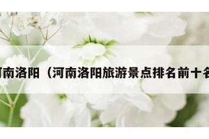 河南洛阳（河南洛阳旅游景点排名前十名）