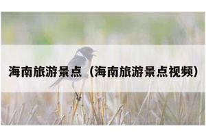 海南旅游景点（海南旅游景点视频）