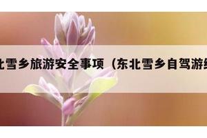 东北雪乡旅游安全事项（东北雪乡自驾游经历）