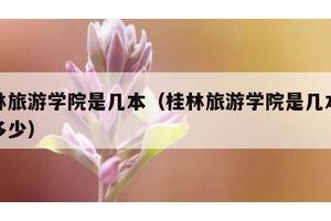 桂林旅游学院是几本（桂林旅游学院是几本学费多少）