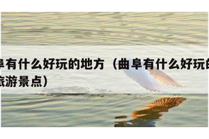 曲阜有什么好玩的地方（曲阜有什么好玩的地方旅游景点）