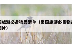 出国旅游必备物品清单（出国旅游必备物品清单图片）