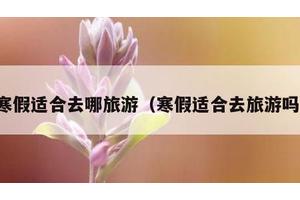 寒假适合去哪旅游（寒假适合去旅游吗）