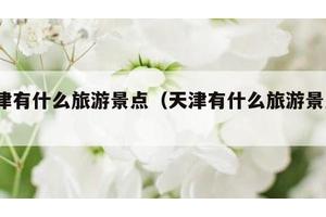 天津有什么旅游景点（天津有什么旅游景点?）