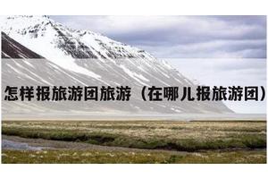 怎样报旅游团旅游（在哪儿报旅游团）