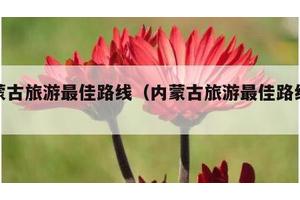 内蒙古旅游最佳路线（内蒙古旅游最佳路线排名）