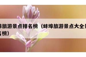 蚌埠旅游景点排名榜（蚌埠旅游景点大全景点排名榜）