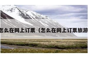 怎么在网上订票（怎么在网上订票旅游）