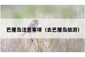 巴厘岛注意事项（去巴厘岛旅游）