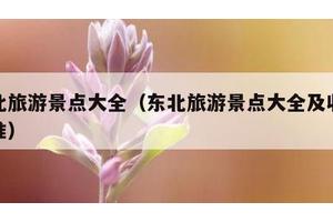 东北旅游景点大全（东北旅游景点大全及收费标准）