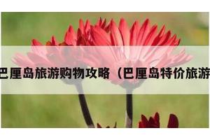 巴厘岛旅游购物攻略（巴厘岛特价旅游）