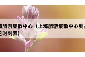 上海旅游集散中心（上海旅游集散中心到舟山大巴时刻表）