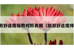 旅游舒适度指数对照表图（旅游舒适度排名）