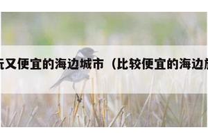 好玩又便宜的海边城市（比较便宜的海边旅游）