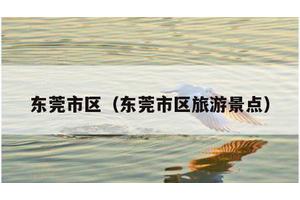 东莞市区（东莞市区旅游景点）