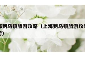 上海到乌镇旅游攻略（上海到乌镇旅游攻略二日游）