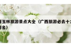 广西玉林旅游景点大全（广西旅游必去十大景点排名）