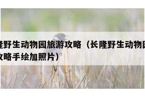 长隆野生动物园旅游攻略（长隆野生动物园旅游攻略手绘加照片）