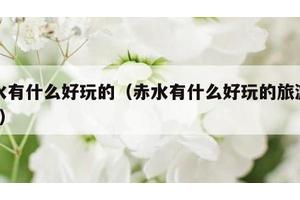 赤水有什么好玩的（赤水有什么好玩的旅游地方?）