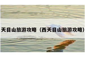 天目山旅游攻略（西天目山旅游攻略）