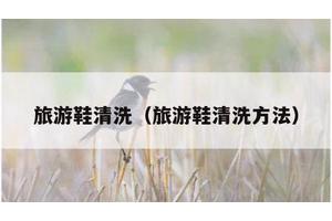 旅游鞋清洗（旅游鞋清洗方法）