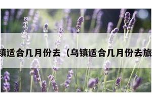 乌镇适合几月份去（乌镇适合几月份去旅游）