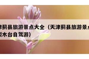 天津蓟县旅游景点大全（天津蓟县旅游景点大全梨木台自驾游）