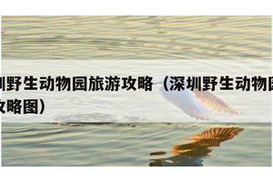深圳野生动物园旅游攻略（深圳野生动物园旅游攻略图）