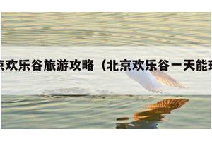 北京欢乐谷旅游攻略（北京欢乐谷一天能玩完吗）