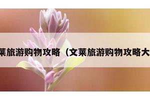 文莱旅游购物攻略（文莱旅游购物攻略大全）