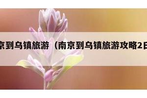 南京到乌镇旅游（南京到乌镇旅游攻略2日游）