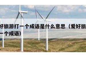 爱好旅游打一个成语是什么意思（爱好旅游 打一个成语）