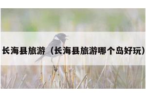 长海县旅游（长海县旅游哪个岛好玩）