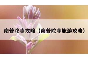 南普陀寺攻略（南普陀寺旅游攻略）