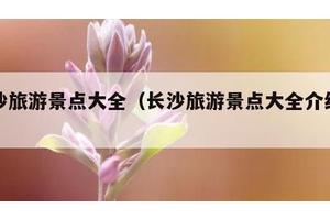 长沙旅游景点大全（长沙旅游景点大全介绍图片）