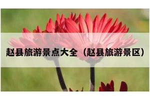 赵县旅游景点大全（赵县旅游景区）