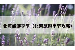 北海旅游季节（北海旅游季节攻略）