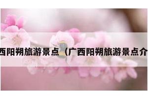 广西阳朔旅游景点（广西阳朔旅游景点介绍）