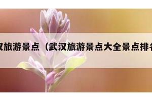 武汉旅游景点（武汉旅游景点大全景点排名榜）