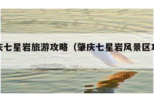 肇庆七星岩旅游攻略（肇庆七星岩风景区攻略）