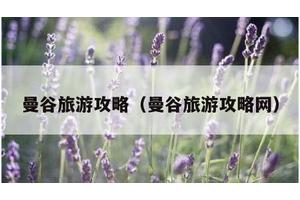 曼谷旅游攻略（曼谷旅游攻略网）